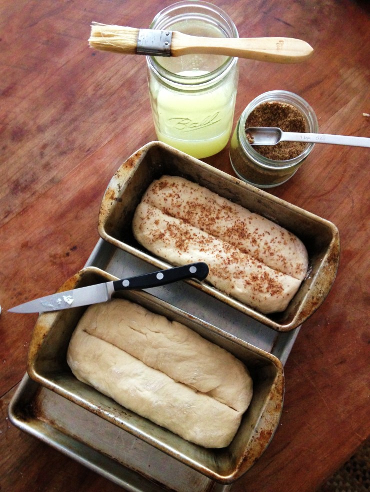 Sandwich Bread with Honey & Whey – Nancy Warner