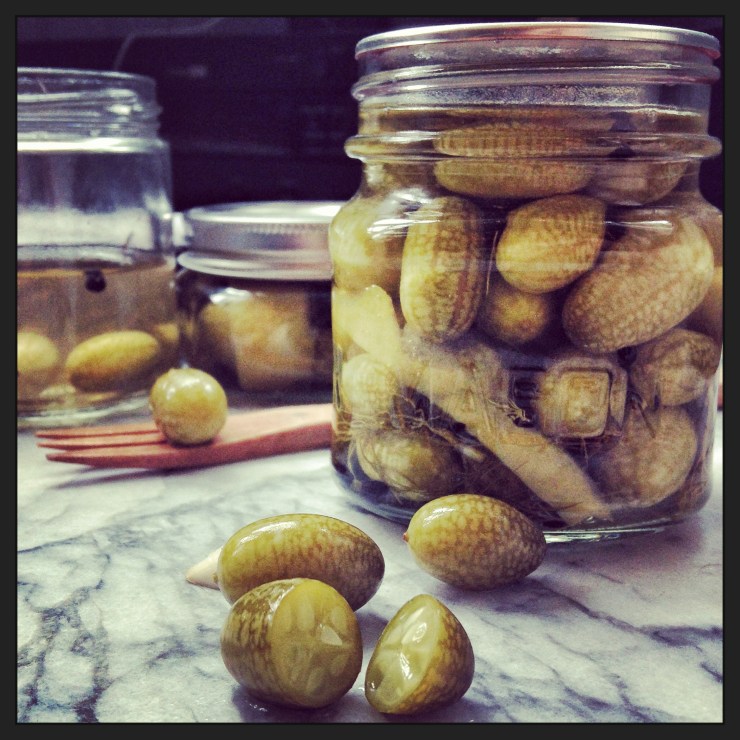 pickled mouse melons