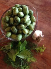 fresh picked pickle ingredients