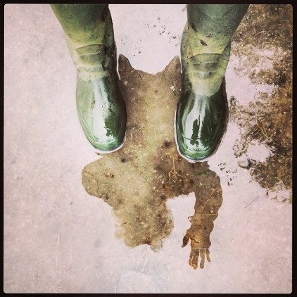 hello mud season 2014